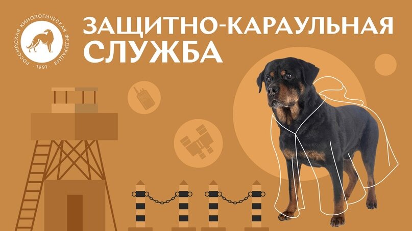 Все о защитно-караульной службе. Источник: Российская кинологическая федерация