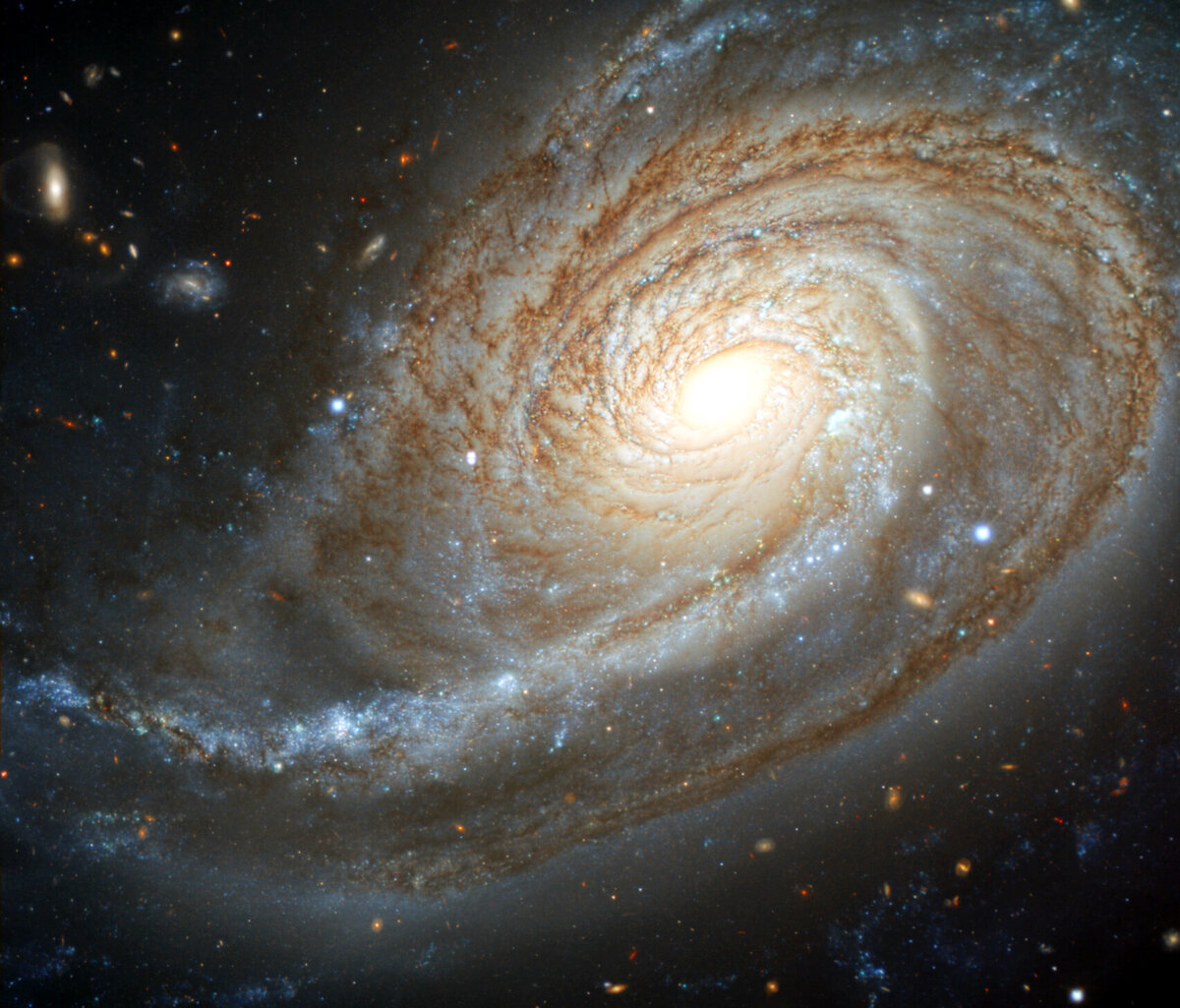 Изображение своеобразной галактики NGC 772, полученное телескопом Gemini North на Гавайях. На изображении отчетливо виден аномальный спиральный рукав.