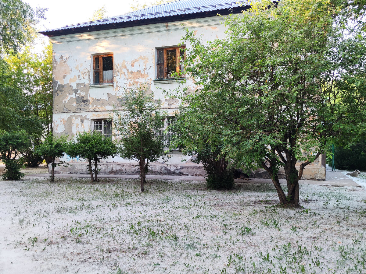 Личное фото автора