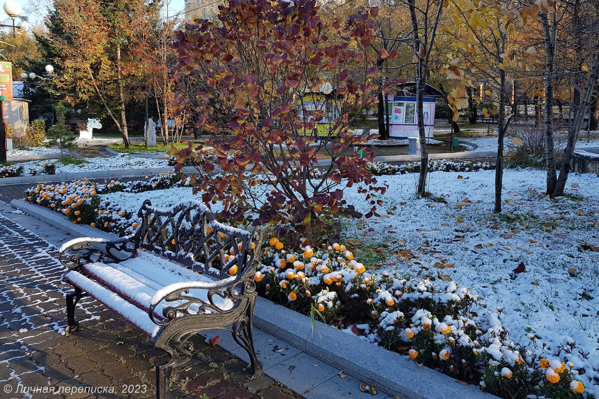 Первый снег в Хабаровске