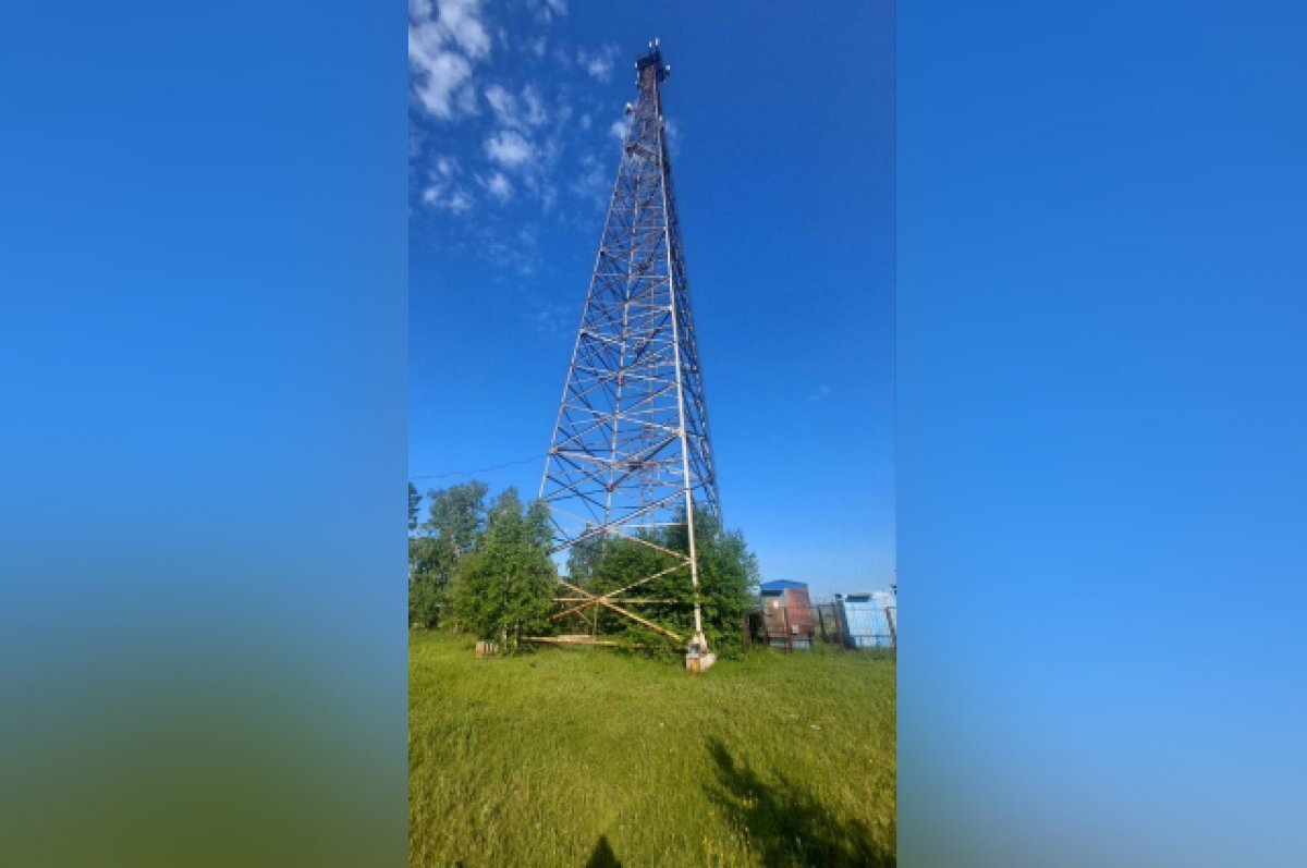 Они посмотрят с вышки они составят план и люди
