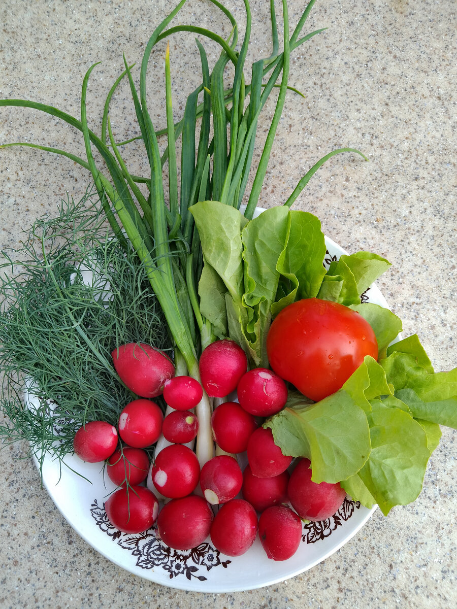 Дары огорода