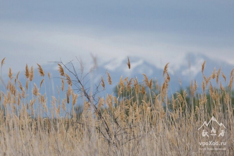 Редактировать карусель1 из 7Добавьте описание