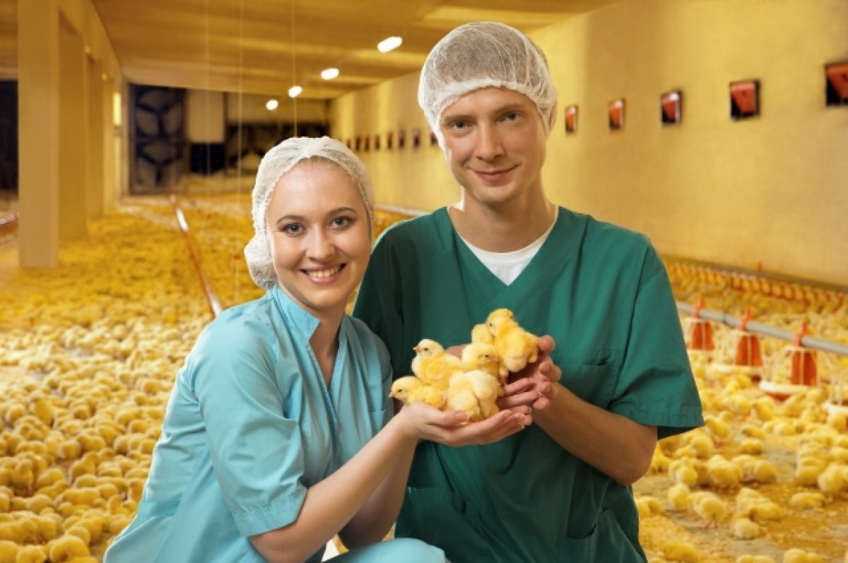    Новые рабочие места в Лисках