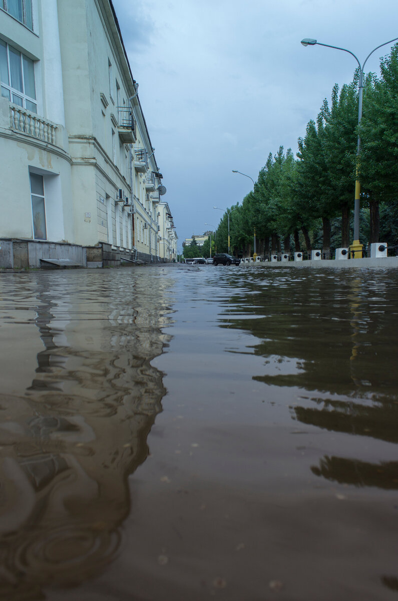 Фото прошлогоднее, тополей уже нет, но суть ясна)