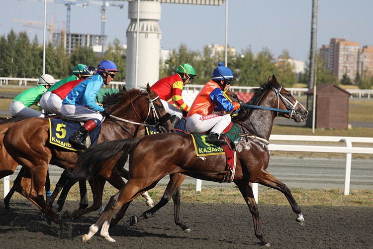 Фото: «БИЗНЕС Online»