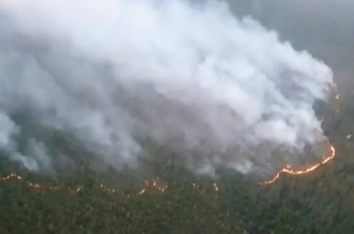    В посёлке Палана на Камчатке введён особый противопожарный режим