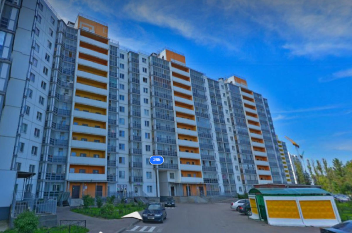    Из окна петербургской многоэтажки выкинули собаку, она не выжила