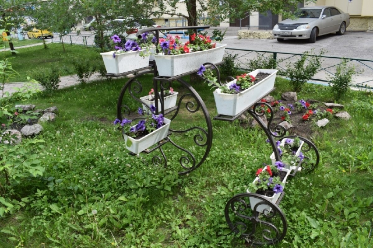    В Красноярске благоустроят три района, ставших победителями конкурса