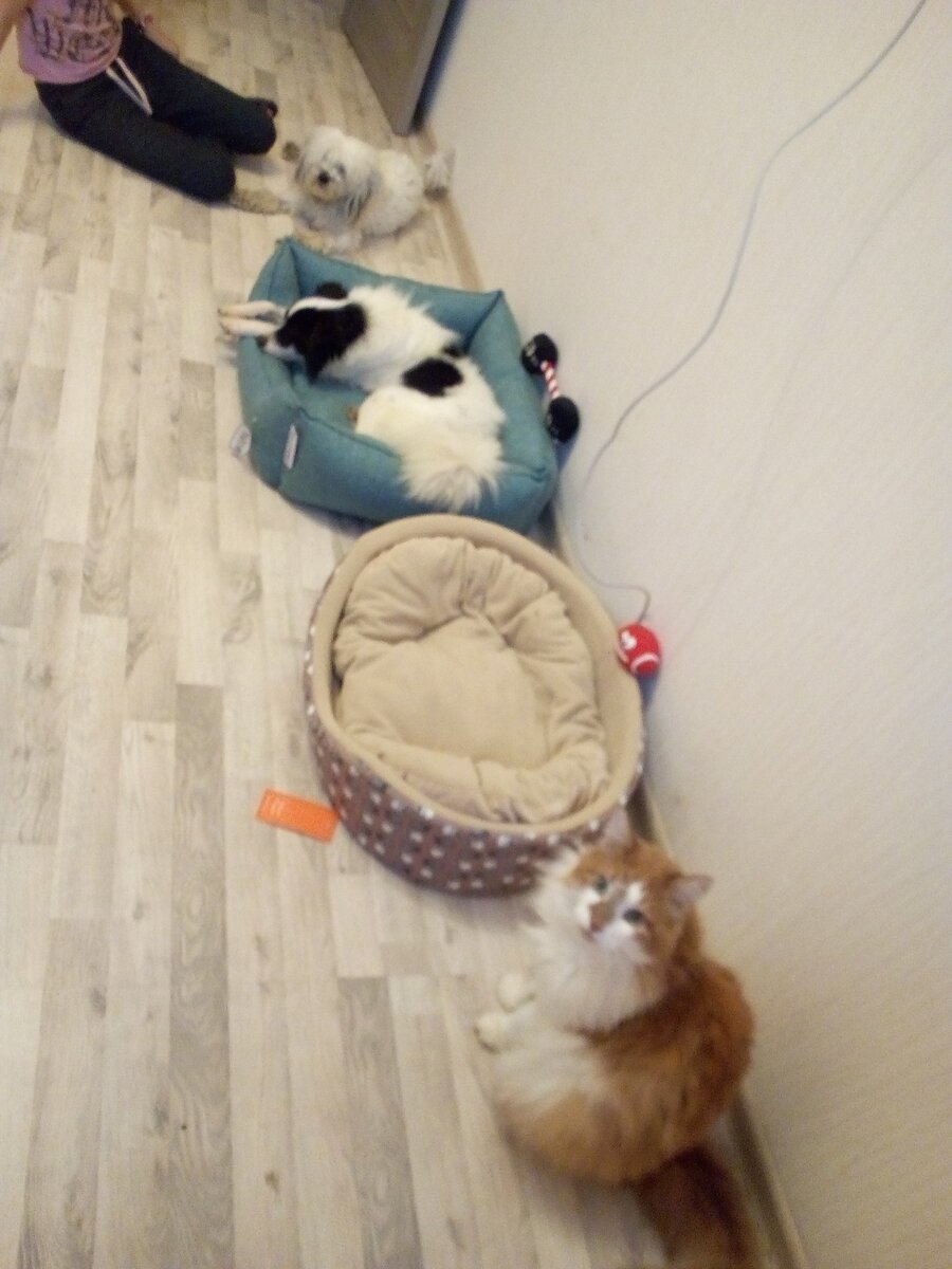 Из семейного архива