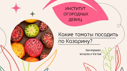 Какие томаты посадить по Казарину?