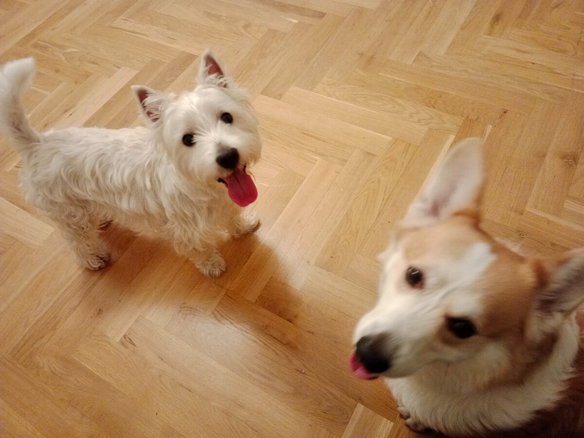 Хантер и Сем