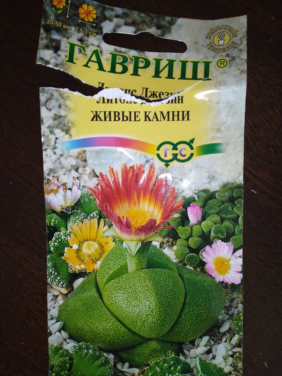 Красивый и необычный! Правда? 