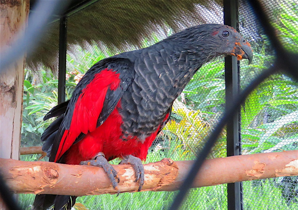 После трапезы