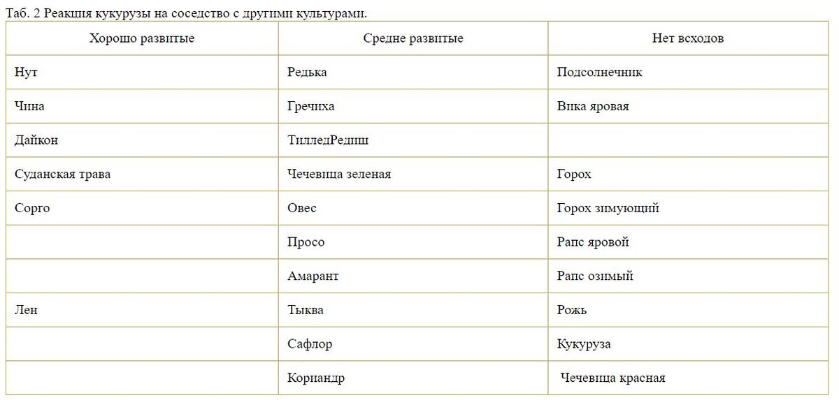 Реалии чей. Реалии чей