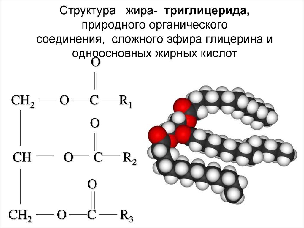 Исключения жиров