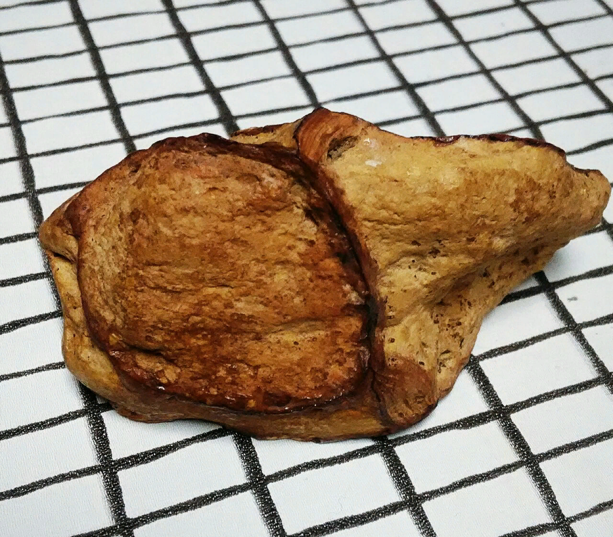 С такой находки и начался путь Бронницкой палеонтологической выставки