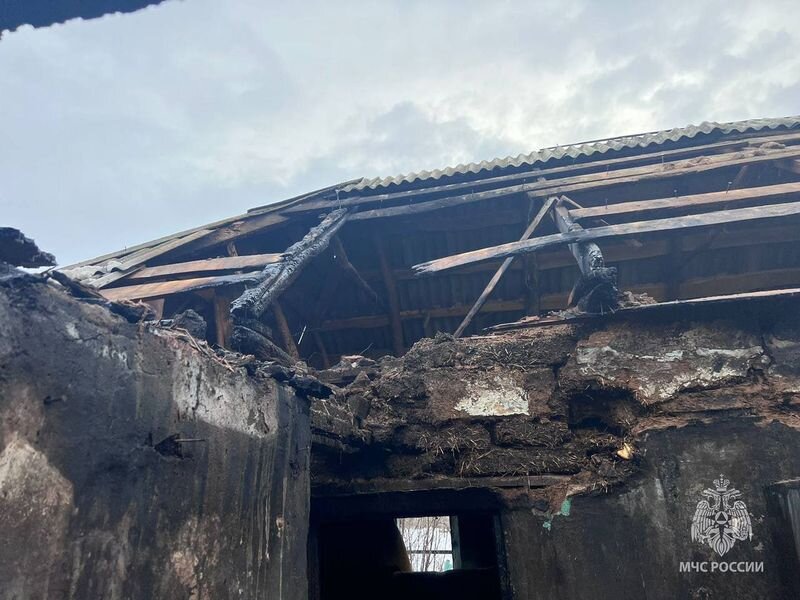    Причину смерти установят следователи: По факту пожара и гибели на нем 8-летний девочки и пенсионера возбуждено уголовное дело