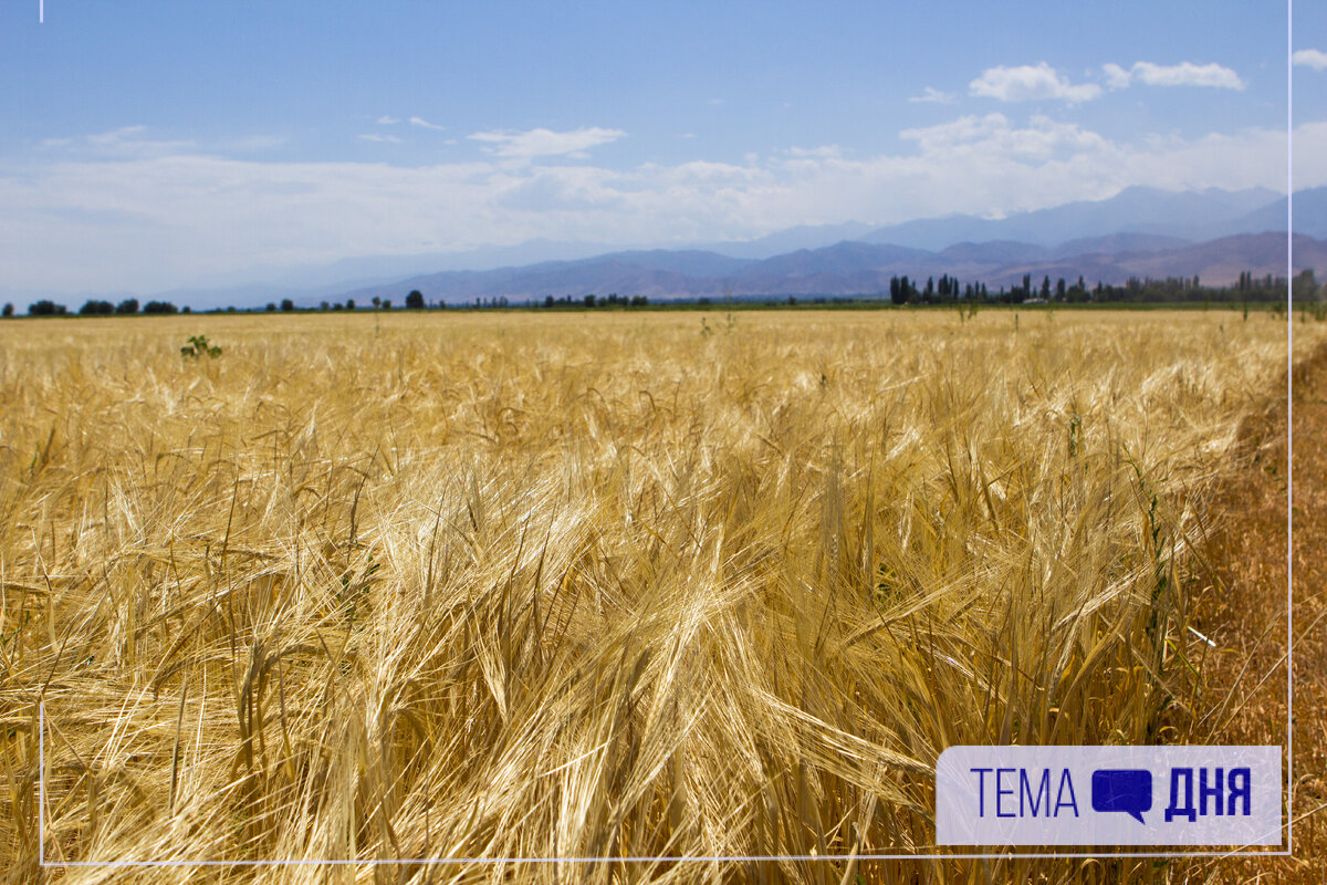 Сельское хозяйство Кыргызстана