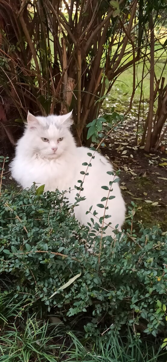 Эта красавица или красавец вне конкуренции. 