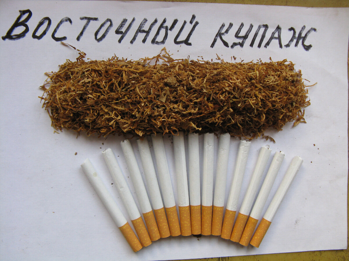 Курил турецкий горький табачок