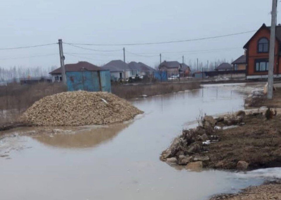     Фото: "Принт-ТВ"