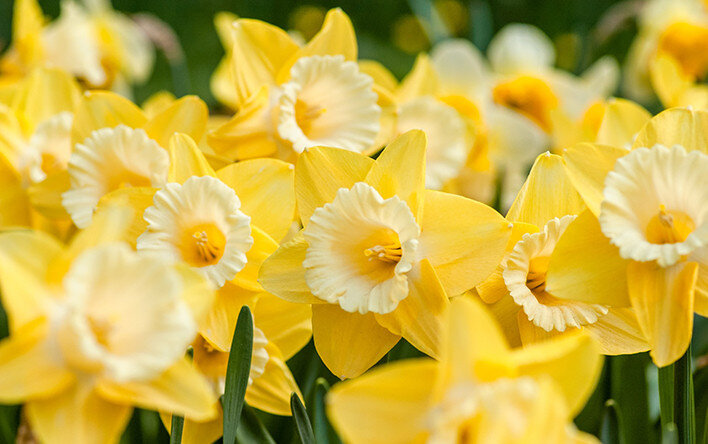                           телефон непрерывно бренчал...