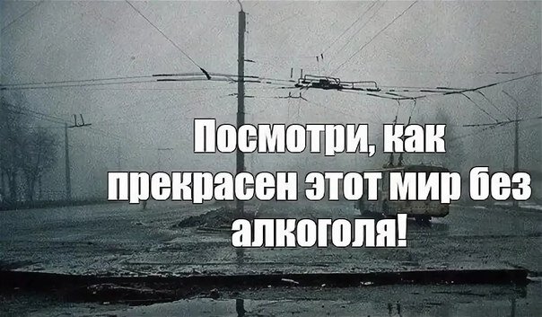 Один день без пива конечно не убьет тебя но зачем рисковать картинка