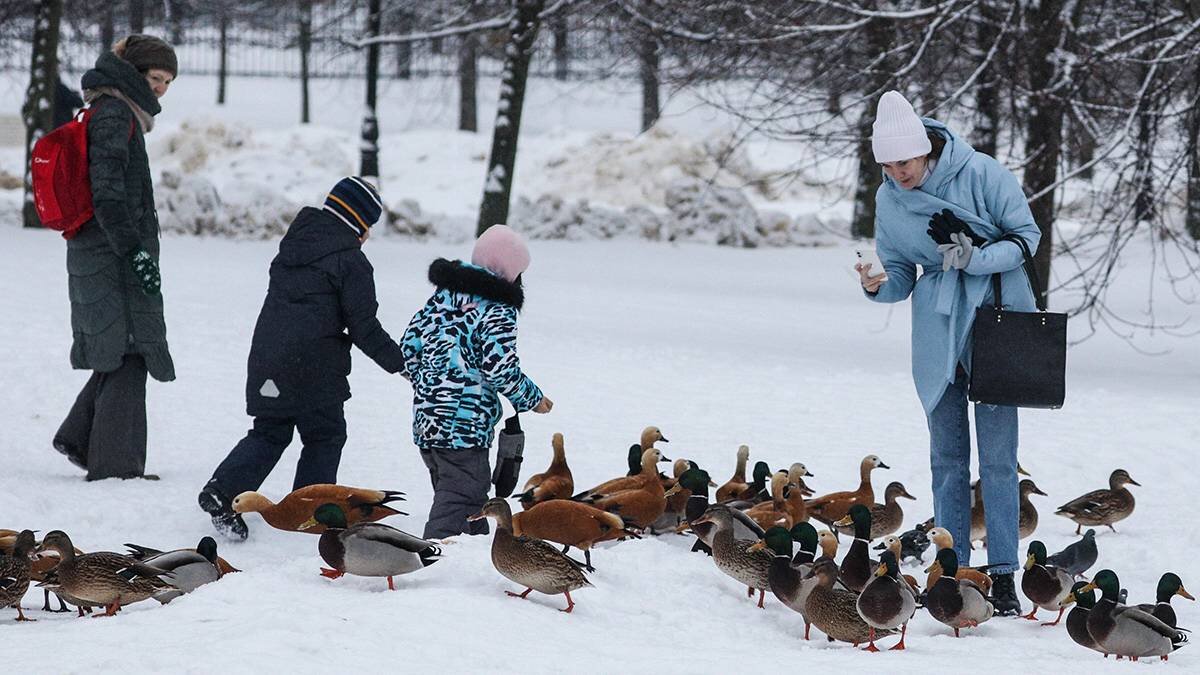    Фото: Кирилл Зыков / АГН Москва