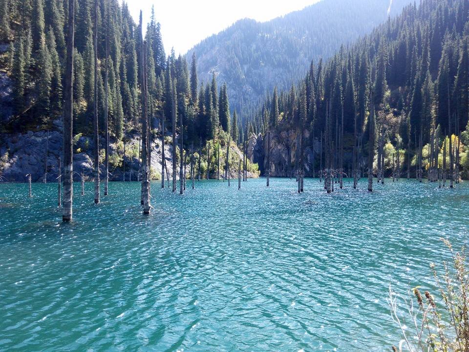 Озеро Каинды, с ударением на "ы". Без преувеличения казахстанское чудо света.