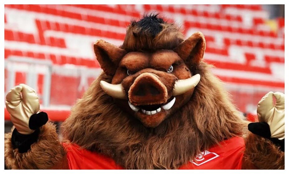    Новым маскотом «Спартака» стал кабан. Фото: соцсети ФК «Спартак»