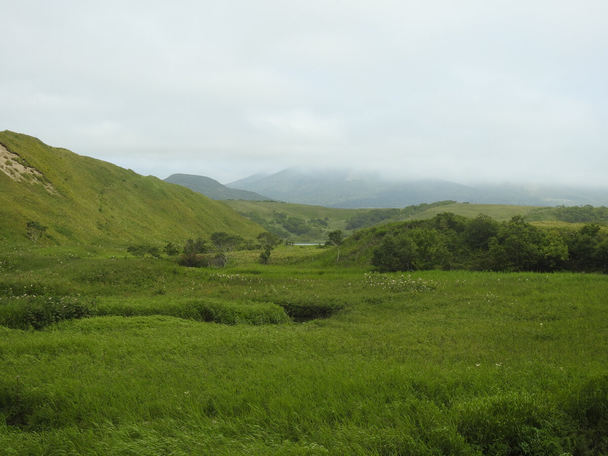 Снимок из уникальной коллекции 2021 года.