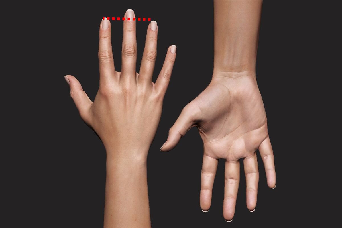 Гармоничная длина Указательного пальца