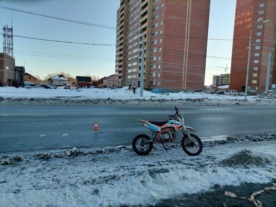     Фото: пресс-служба УГИББ по НСО