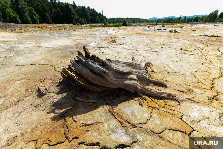   Участившаяся сейсмическая активность может грозить уральцам проблемами