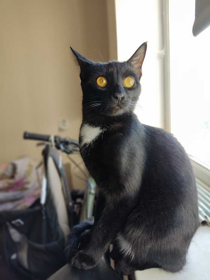 Листайте вправо, чтобы увидеть больше изображений