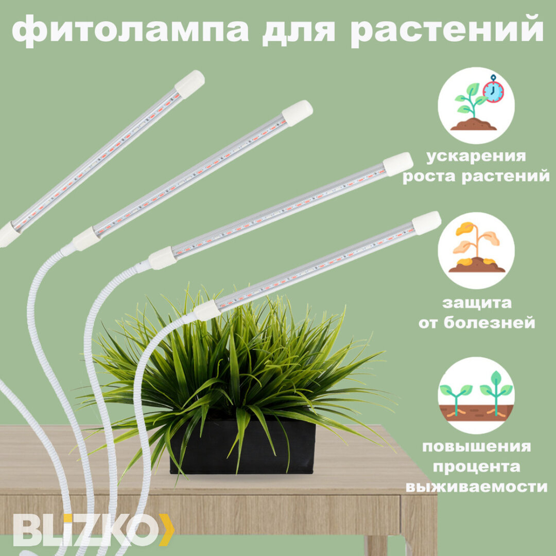 Чем подсветить рассаду на подоконнике? ТОП-4 лампы для рассады | Уютный дом  с BLIZKO | Дзен