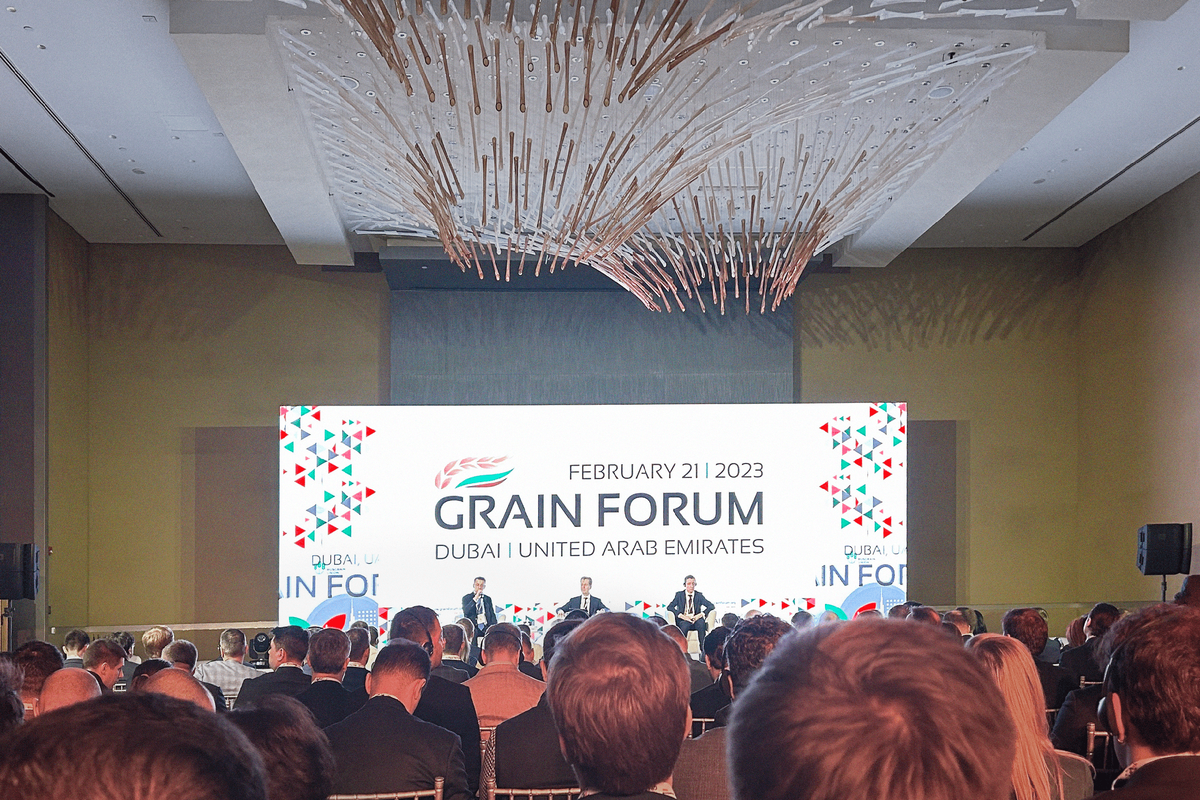 Grain forum