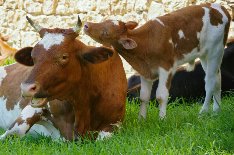  Игорь Самохвалов/ПГ