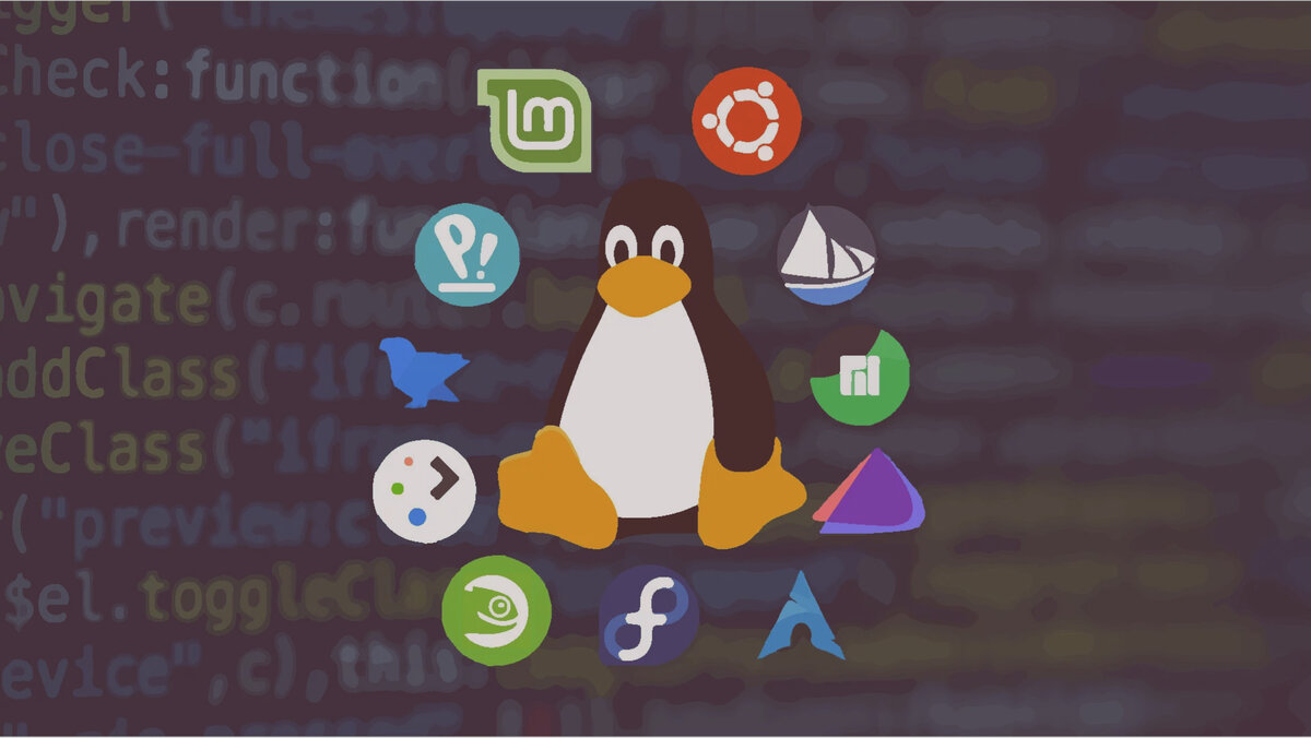 Восемь способов получить простую информацию о дистрибутиве Linux и сервере  через терминал | Linux для чайников: гайды, статьи и обзоры | Дзен