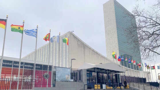    ООН приняла к сведению заявление РФ о продлении "зерновой сделки" на 60 дней Анна Белая