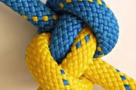 фото из свободного доступа.