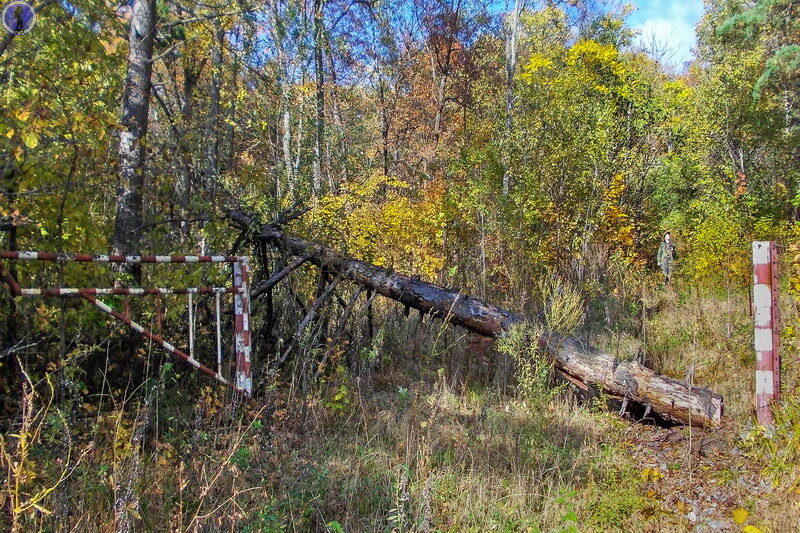 На этой неприметной полянке с домиком в заповедном лесу скрывался ...