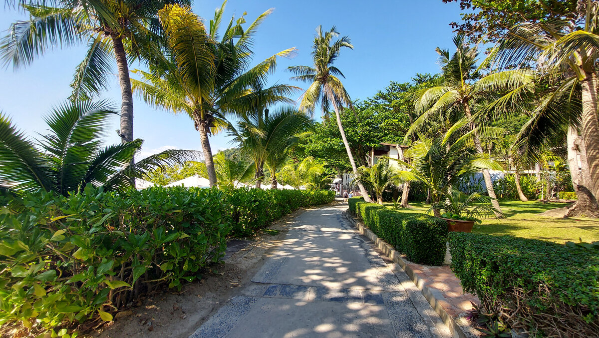 Дорога к отелю. Фото моё.