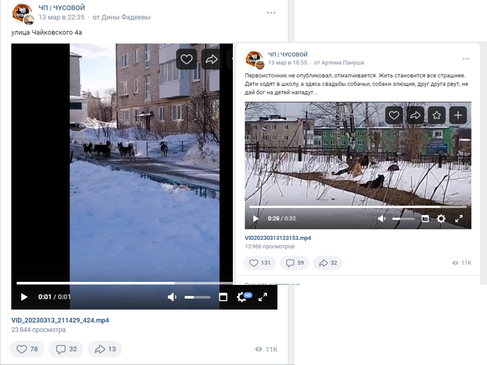 А в марте начались беспорядки в городе из-за собаки