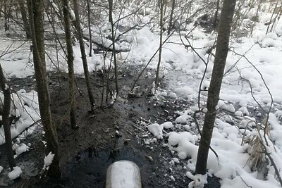    Сброс сточных вод в химкинский лесной массив © Пресс-служба Министерства экологии и природопользования Московской области