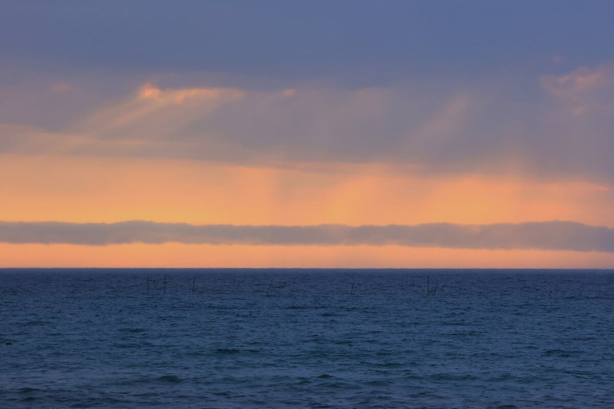 Фото: Наталья Сомова