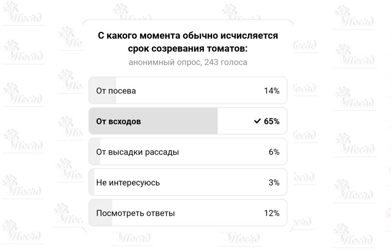 Вчерашний опрос. Ответов могло быть больше, но дальше я ждать не стала, расклад и так понятен.