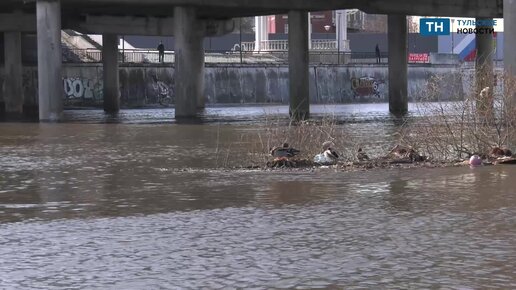 Уровень воды в упе тула сегодня