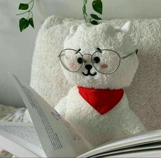 RJ